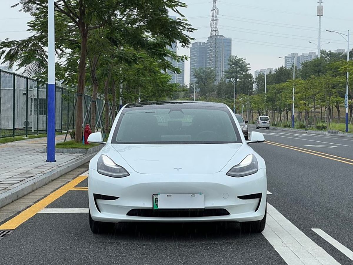 2020年6月特斯拉 Model 3  2019款 標(biāo)準(zhǔn)續(xù)航后驅(qū)升級版