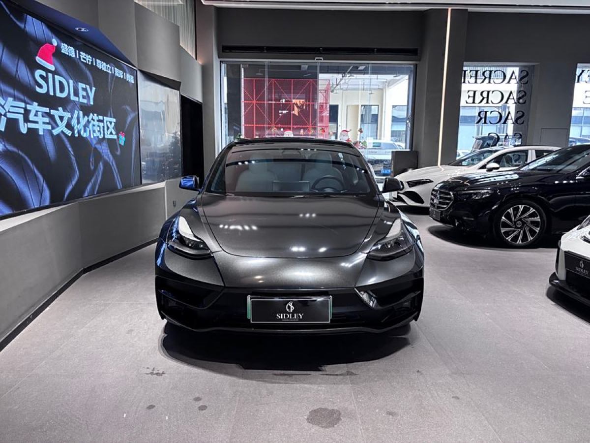 特斯拉 Model Y  2022款 Performance高性能全輪驅(qū)動版圖片