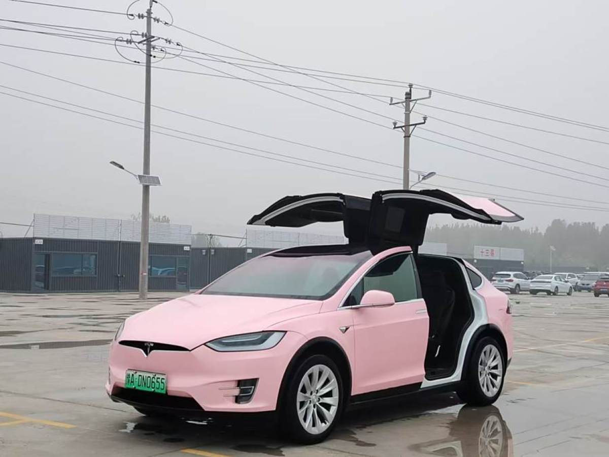 特斯拉 Model X  2019款 標(biāo)準(zhǔn)續(xù)航版圖片