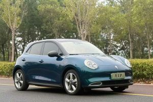 歐拉好貓 歐拉 400km標(biāo)準(zhǔn)續(xù)航 公務(wù)版 三元鋰