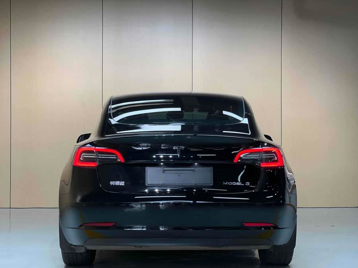 特斯拉 Model 3  2022款 后輪驅(qū)動版圖片