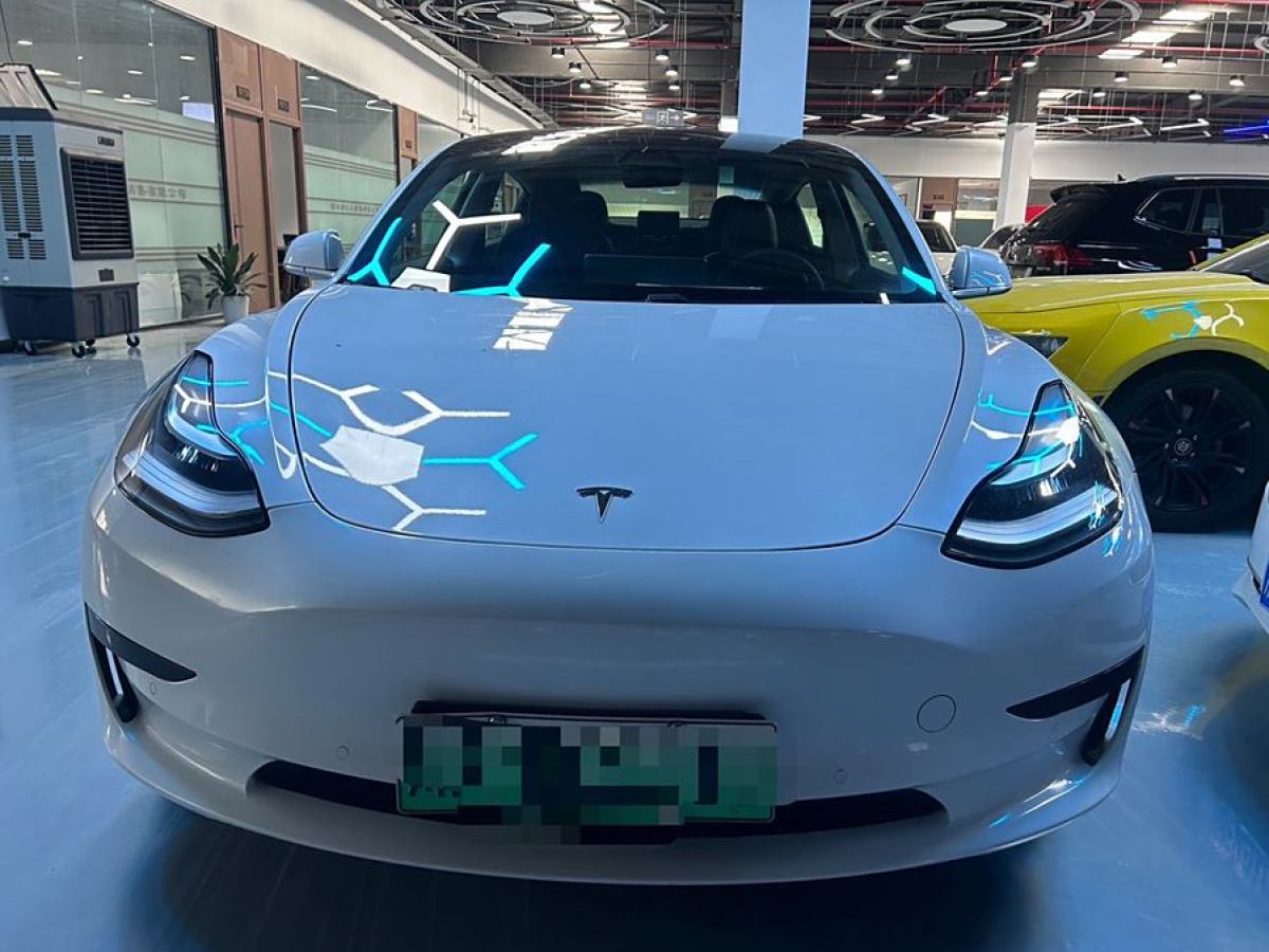 2020年4月特斯拉 Model 3  2019款 長續(xù)航后驅(qū)版