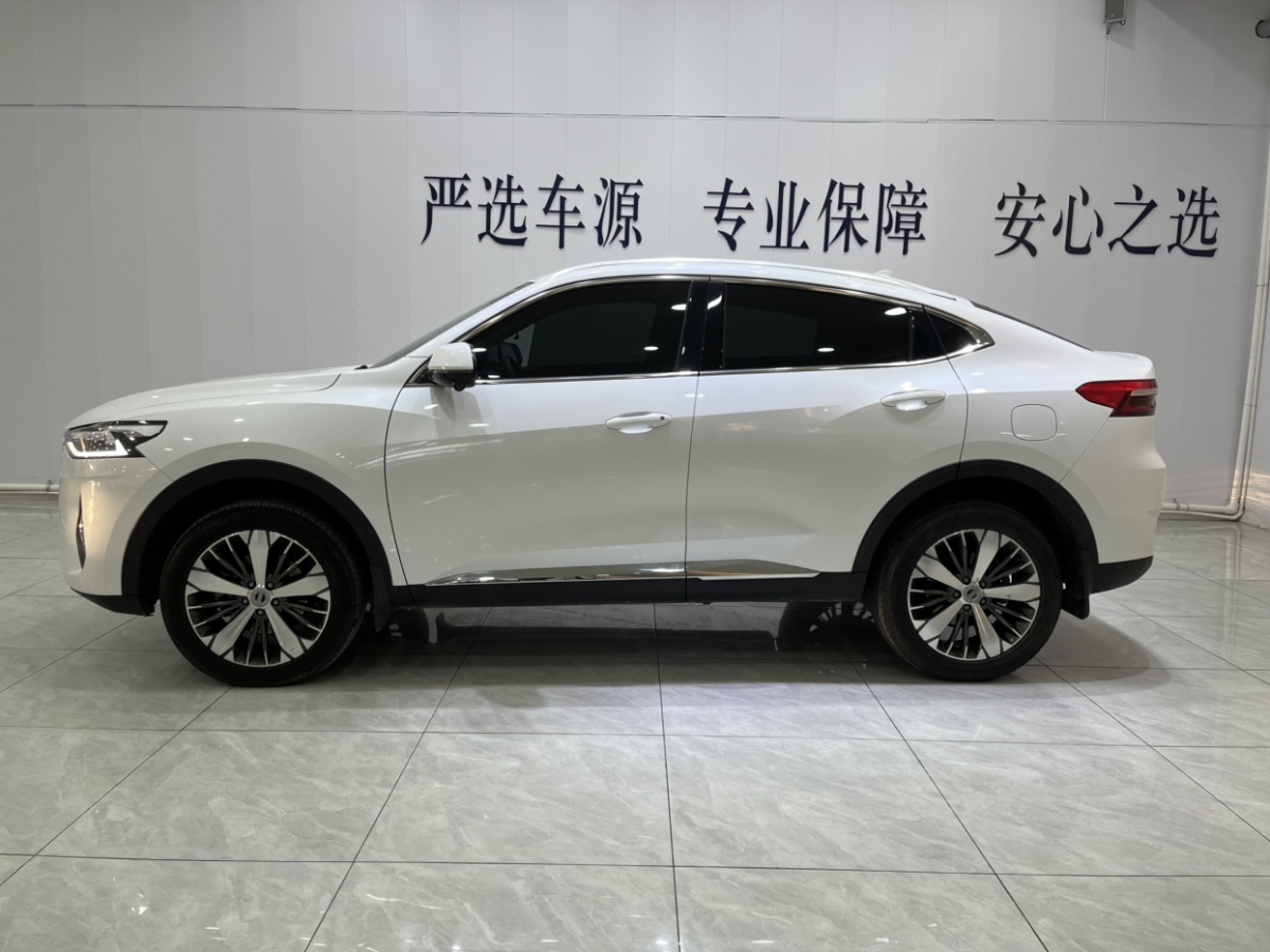 哈弗 哈弗F7x  2019款  1.5T 兩驅(qū)極智潮玩版lite圖片