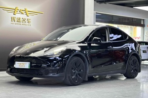 Model Y 特斯拉 长续航焕新版 双电机全轮驱动