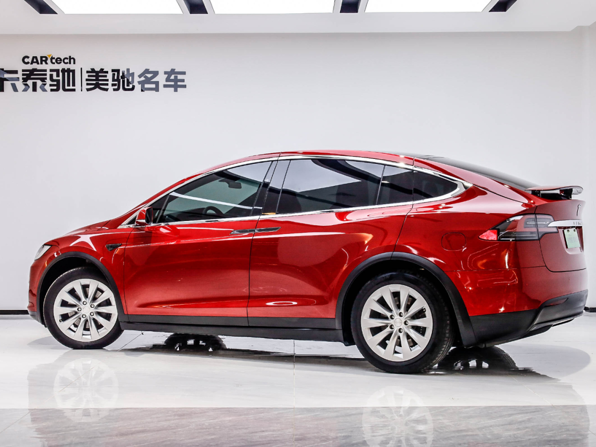 特斯拉 Model X 2019款 MODEL X 標(biāo)準(zhǔn)續(xù)航版圖片