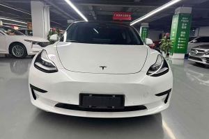 Model 3 特斯拉 标准续航后驱升级版