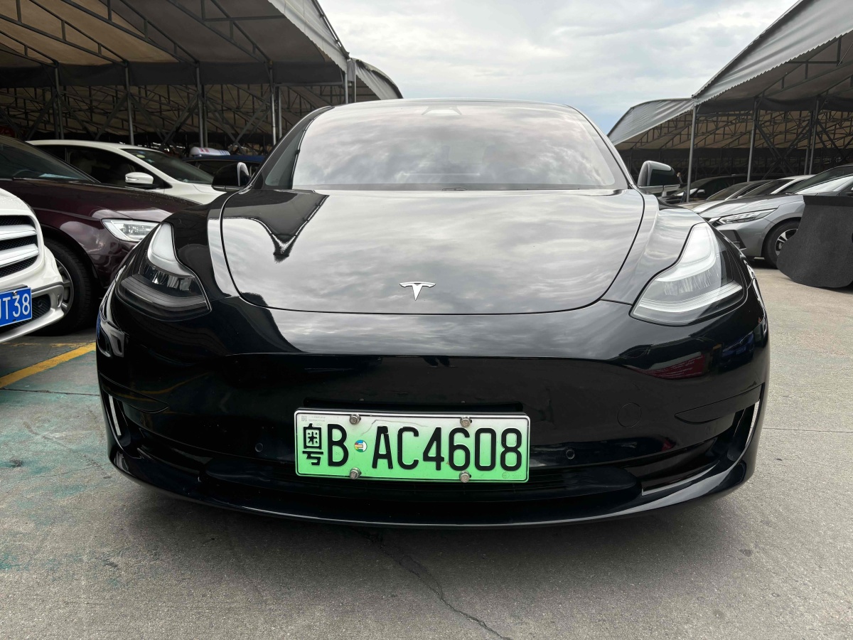 2021年1月特斯拉 Model 3  2020款 改款 標(biāo)準(zhǔn)續(xù)航后驅(qū)升級(jí)版