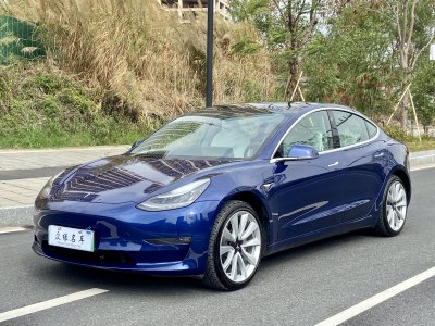 2020年6月 特斯拉 Model 3 改款 長續(xù)航后輪驅(qū)動版圖片