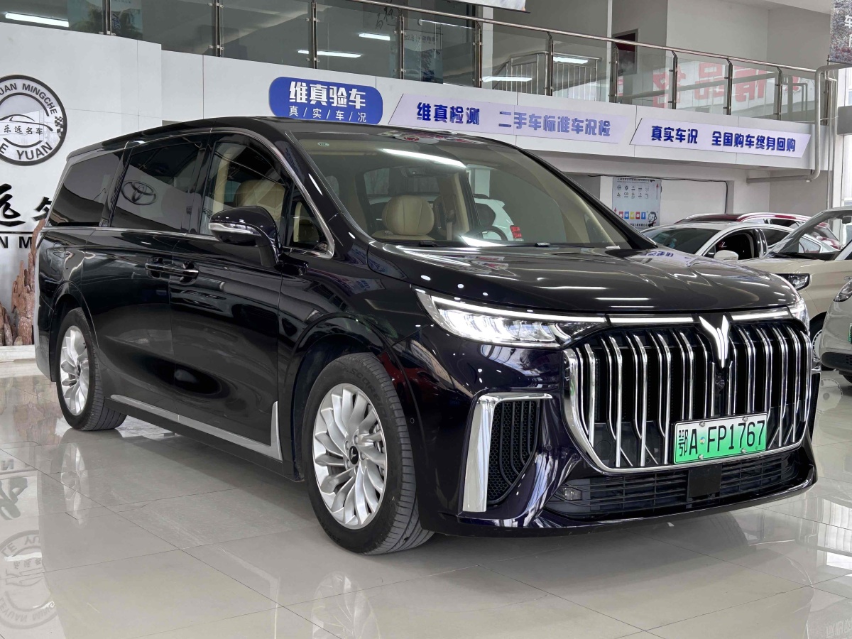 2024年1月嵐圖 夢想家  2024款 PHEV 超長續(xù)航尊貴版