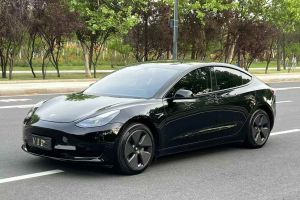 Model S 特斯拉 三電機(jī)全輪驅(qū)動(dòng) Plaid版