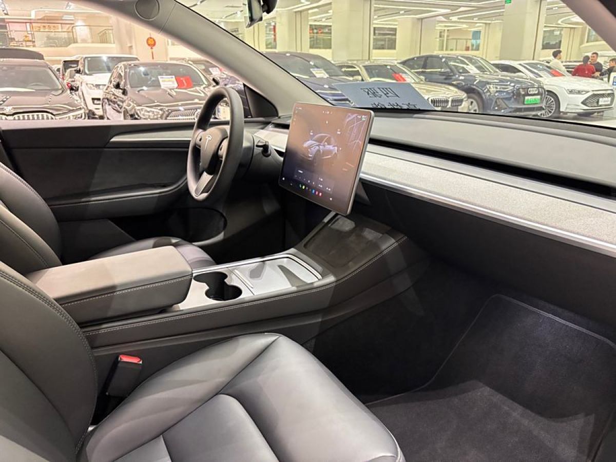 特斯拉 Model 3  2021款 改款 Performance高性能全輪驅(qū)動版圖片