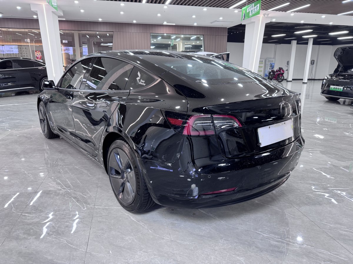 特斯拉 Model 3  2019款 標準續(xù)航后驅(qū)升級版圖片