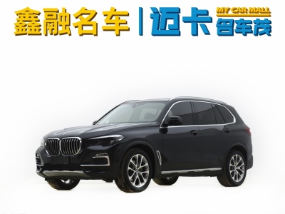 寶馬 寶馬X5(進(jìn)口) xDrive30i X設(shè)計(jì)套裝圖片