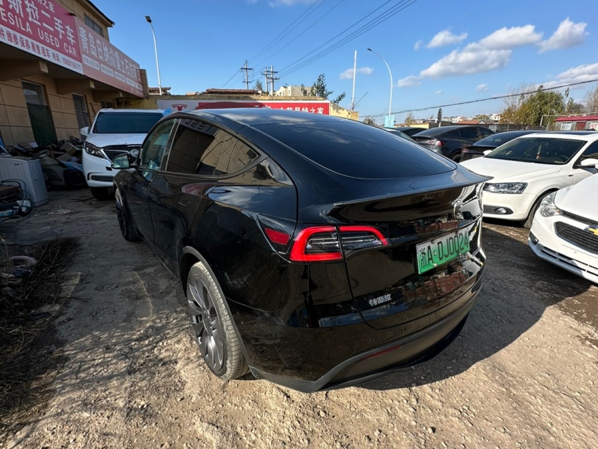 特斯拉 Model Y  2022款 Performance高性能全輪驅(qū)動(dòng)版圖片