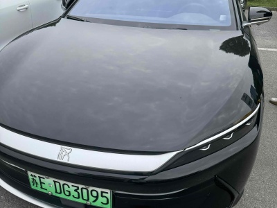 2022年1月 比亞迪 漢 EV 標(biāo)準(zhǔn)續(xù)航版豪華型圖片