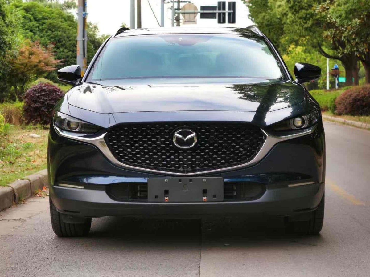 馬自達(dá) CX-30  2021款 2.0L 自動(dòng)嘉悅型圖片