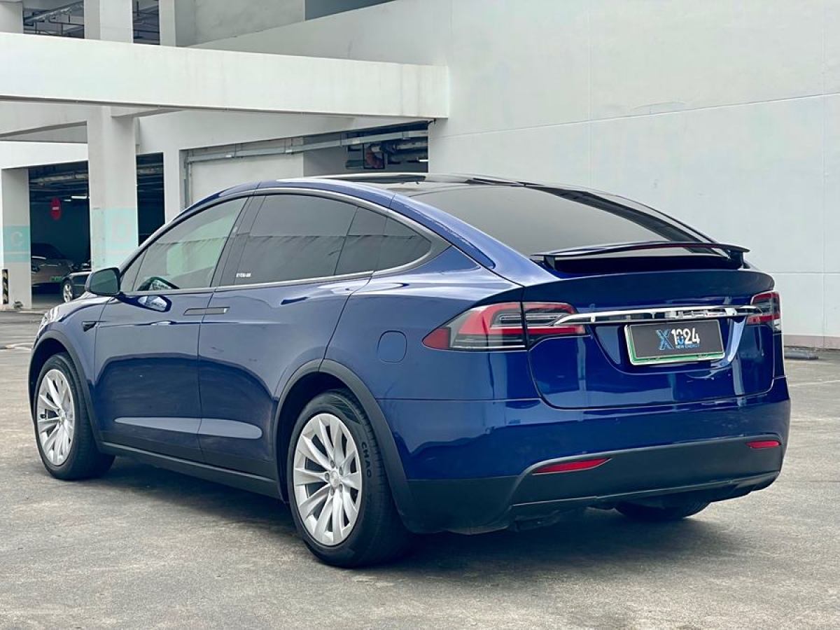 特斯拉 Model X  2019款 標準續(xù)航版圖片