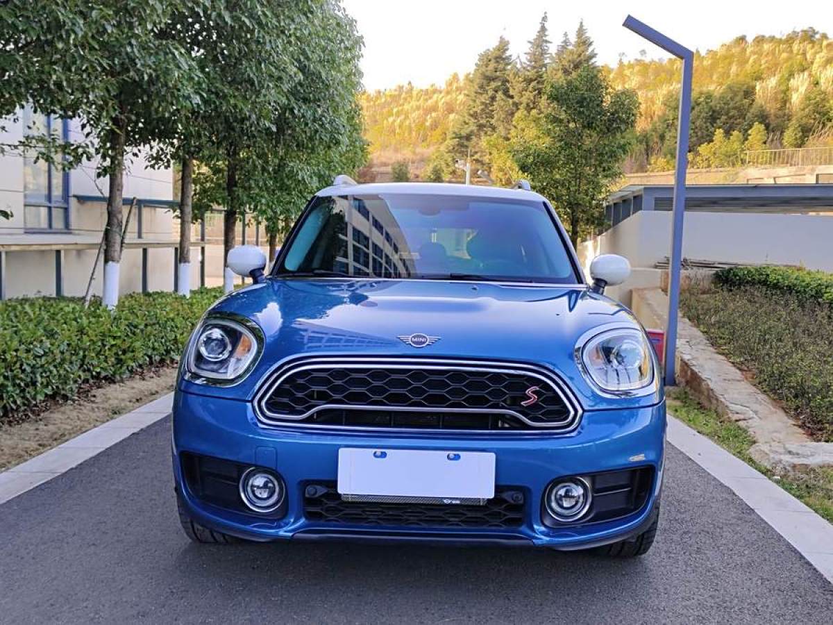 MINI COUNTRYMAN  2019款 2.0T COOPER S ALL4 藝術(shù)家圖片