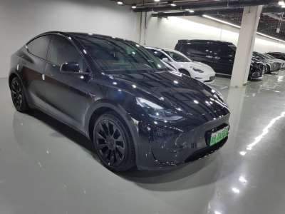 2021年6月 特斯拉 Model Y 标准续航后驱升级版 3D6图片