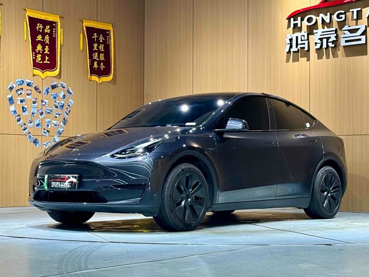 特斯拉 Model 3  2020款 改款 長續(xù)航后輪驅(qū)動(dòng)版圖片