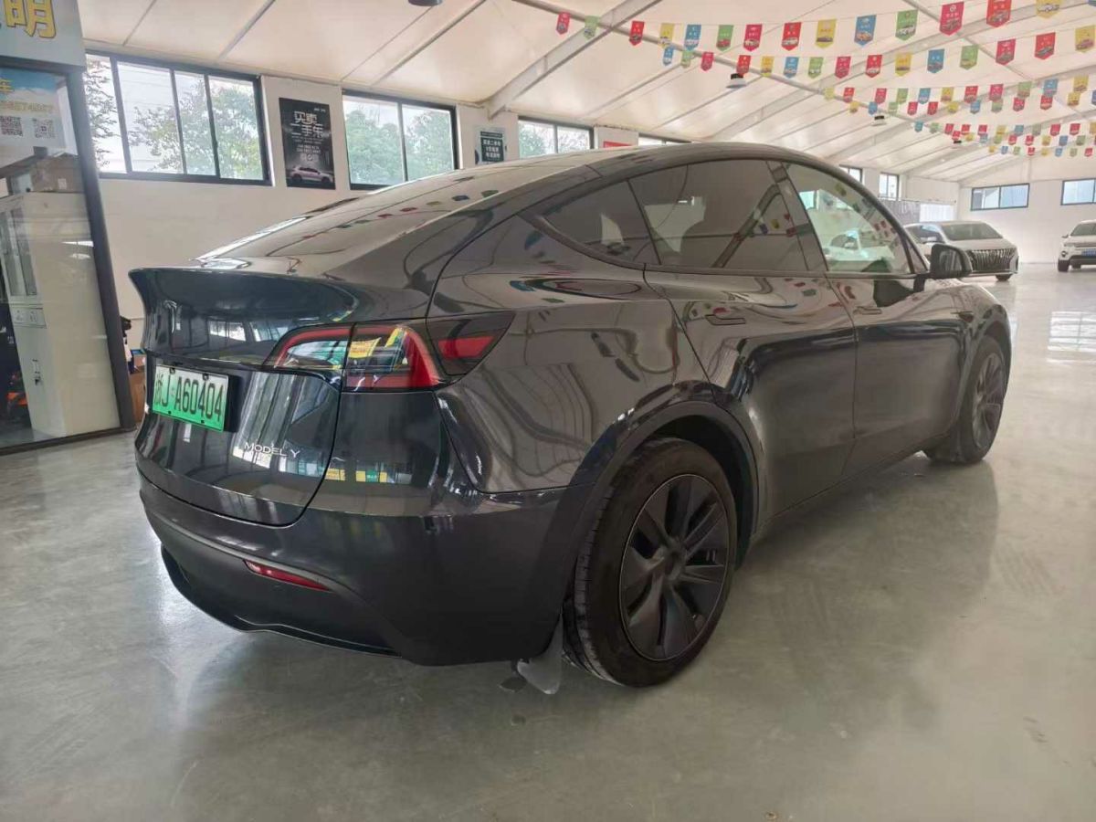 特斯拉 Model Y  2024款 Performance高性能版圖片