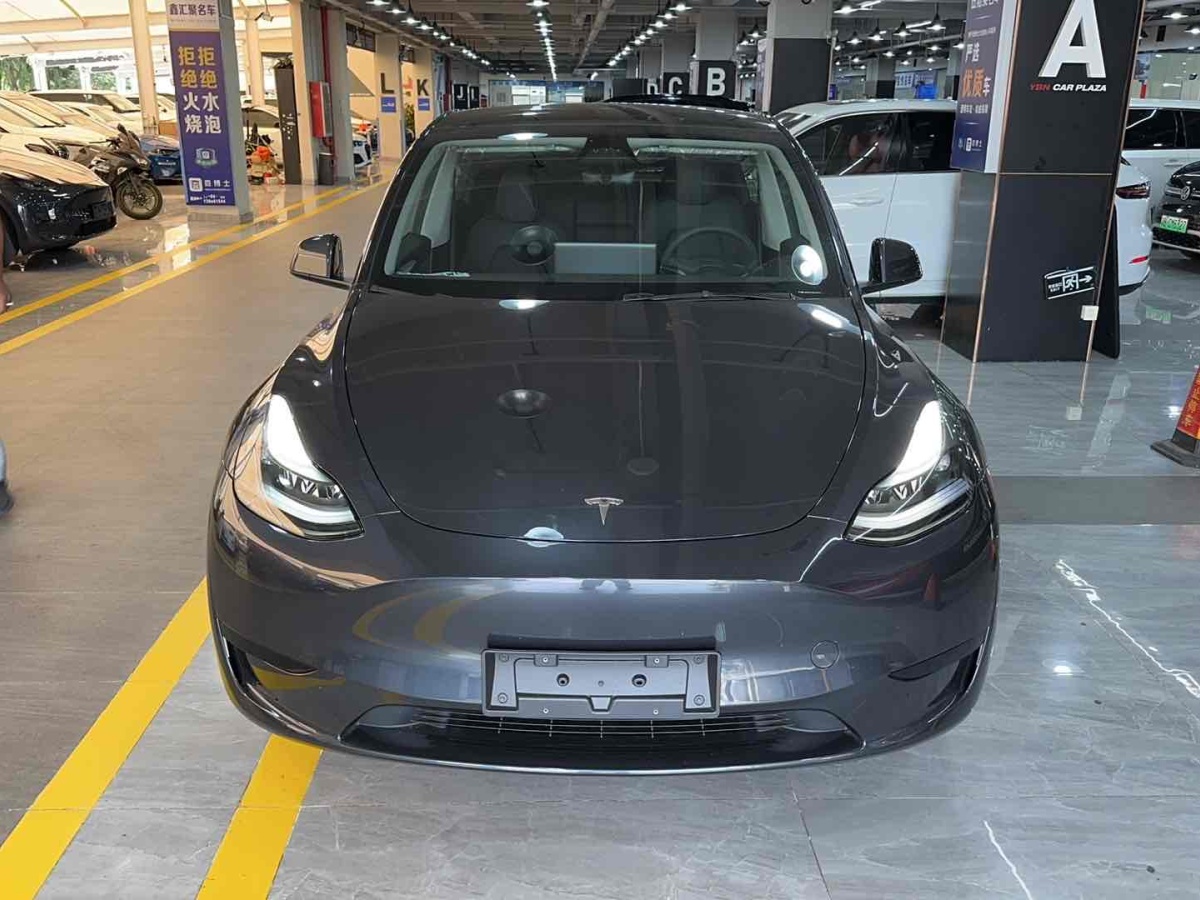 特斯拉 Model Y  2020款 改款 長續(xù)航后輪驅(qū)動版圖片