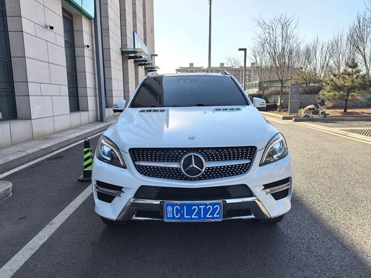 奔馳 奔馳M級(jí)  2012款 ML 350 豪華型圖片