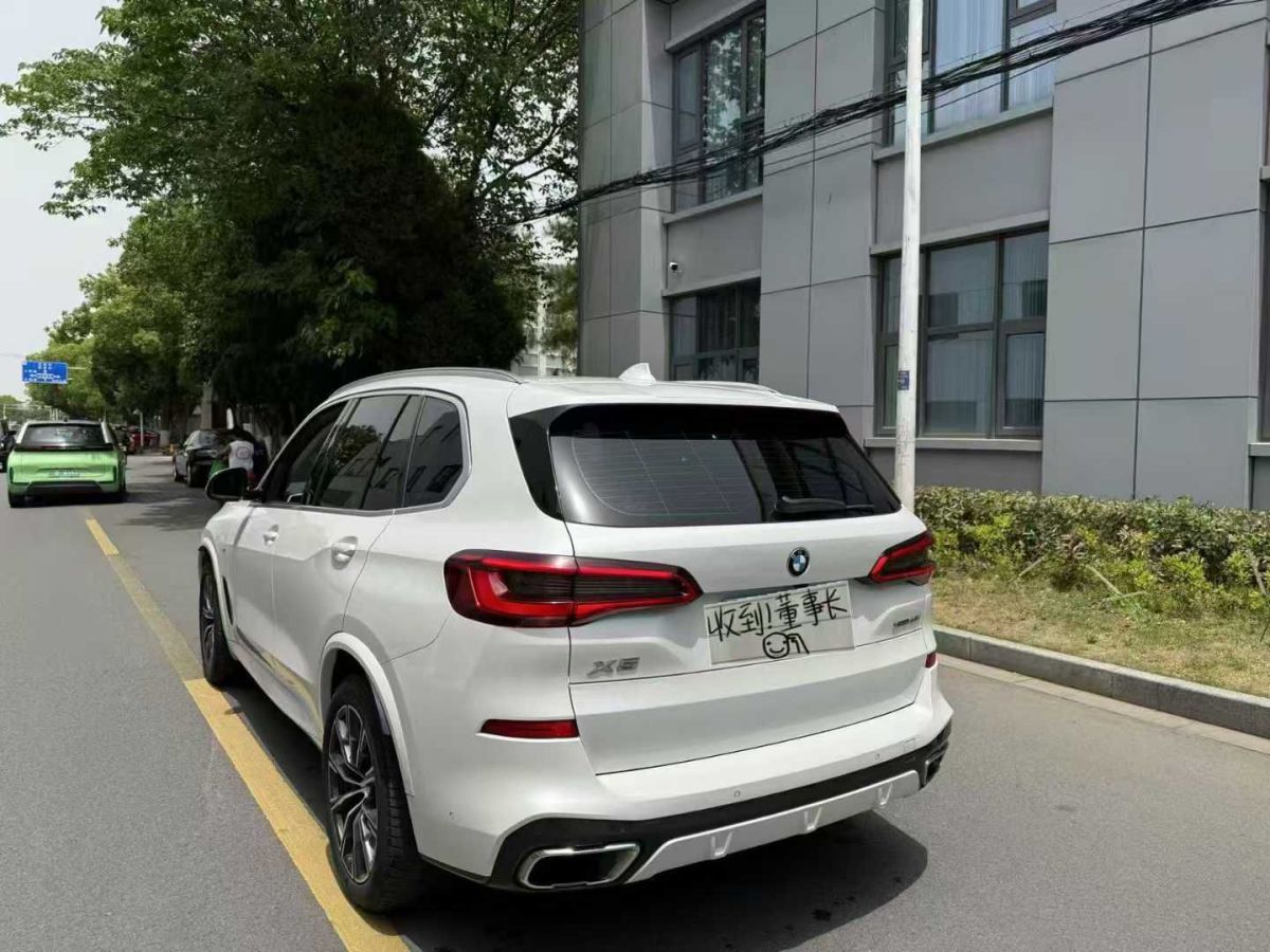 寶馬 寶馬X5  2019款 xDrive30i X設(shè)計(jì)套裝圖片