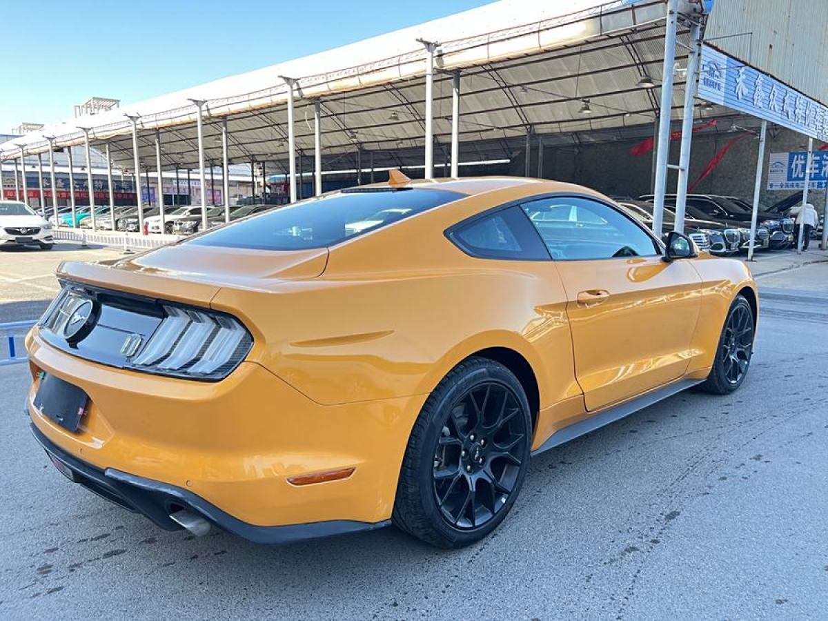 福特 Mustang  2021款 2.3L EcoBoost圖片