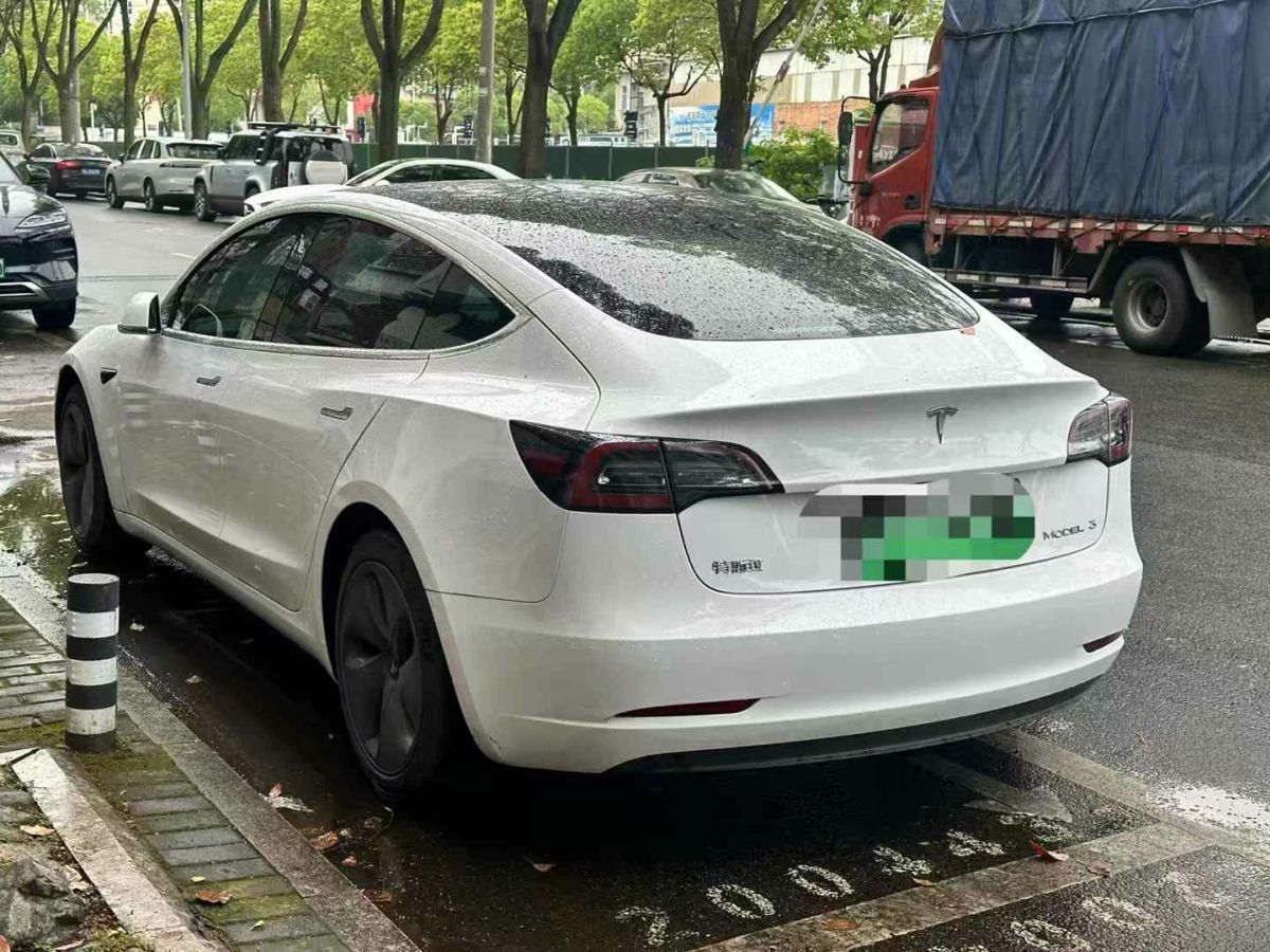 特斯拉 Model X  2020款 Performance 高性能版圖片