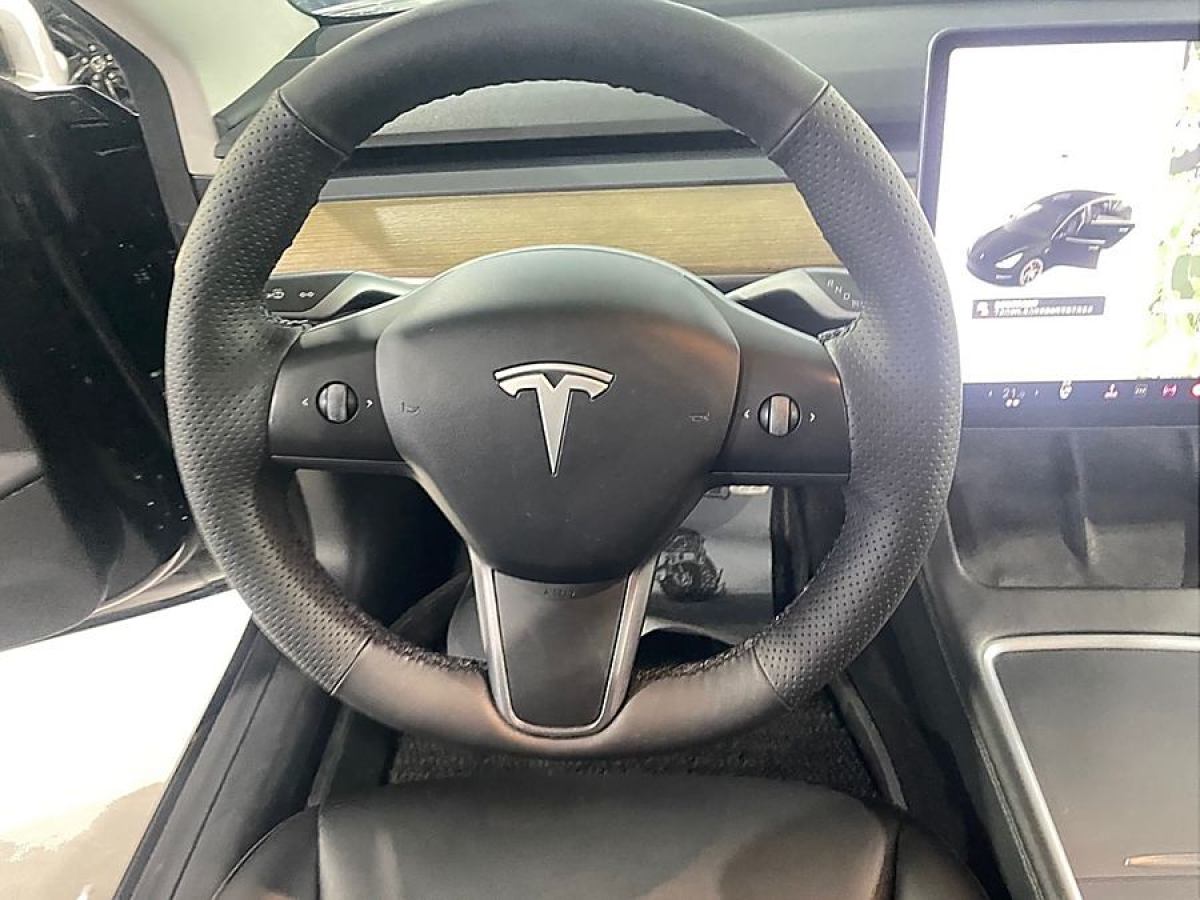 特斯拉 Model Y  2021款 Performance高性能全輪驅(qū)動(dòng)版圖片