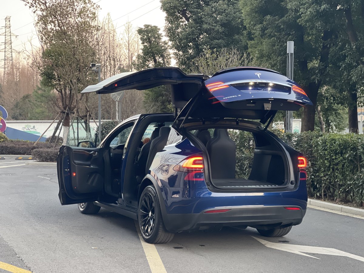 特斯拉 Model X  2017款 Model X 100D 長續(xù)航版圖片