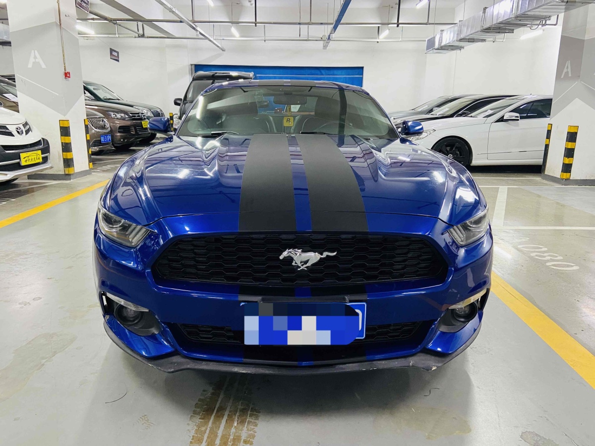 福特 Mustang  2015款 2.3T 性能版圖片