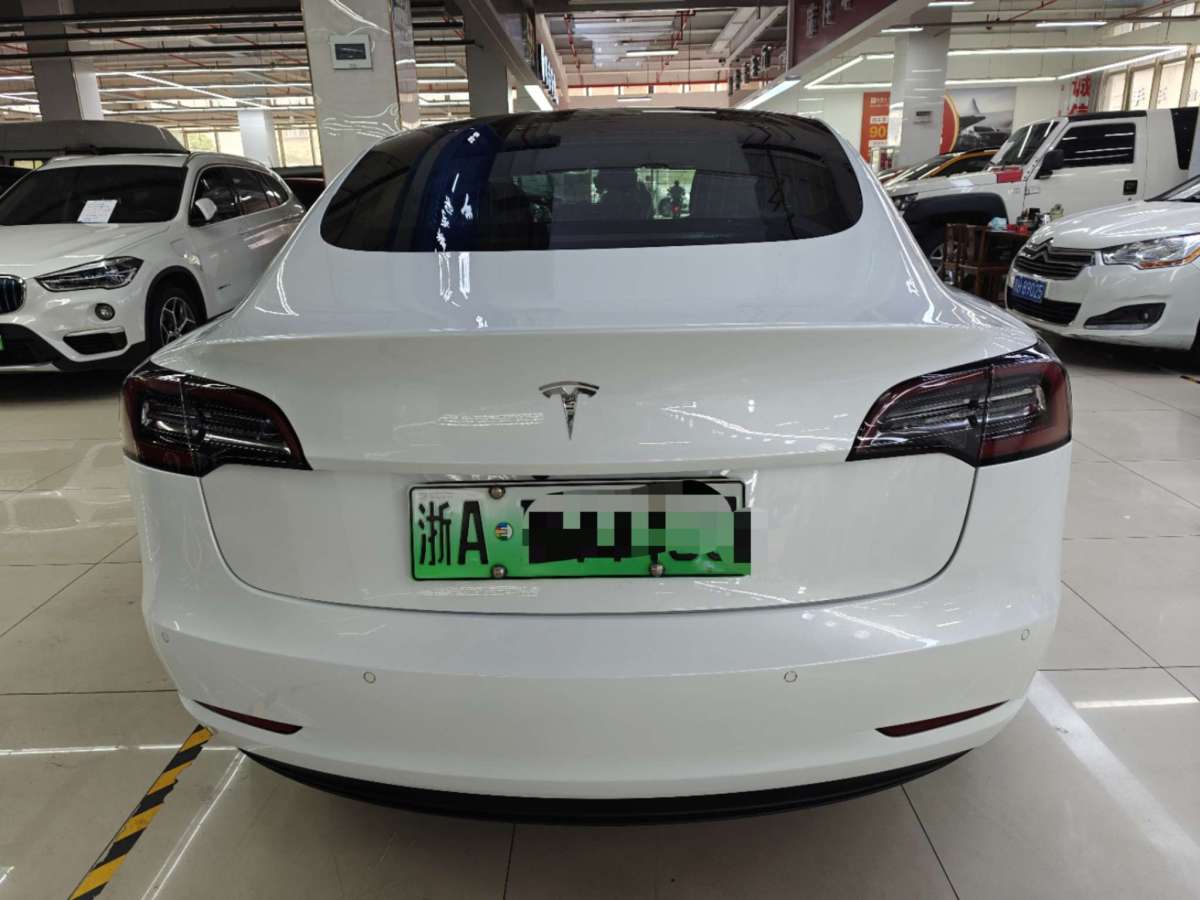 特斯拉 Model 3  2019款 標(biāo)準(zhǔn)續(xù)航后驅(qū)升級版圖片