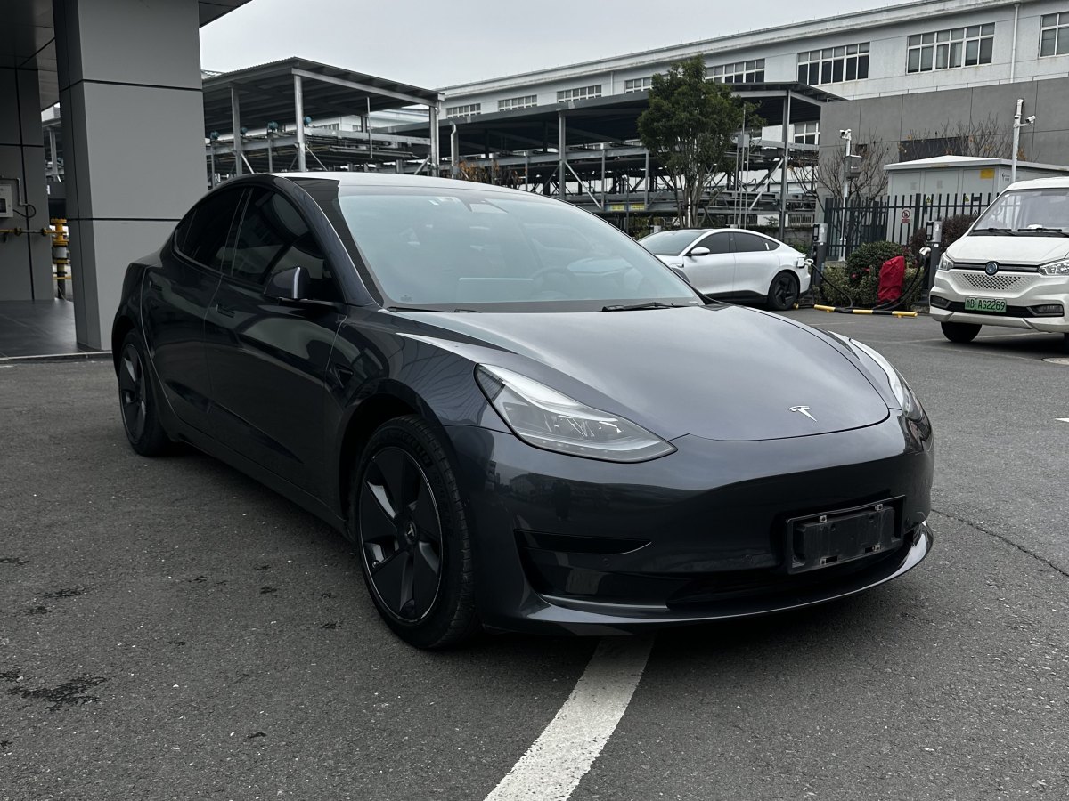 特斯拉 Model 3  2021款 標(biāo)準(zhǔn)續(xù)航后驅(qū)升級版 3D6圖片