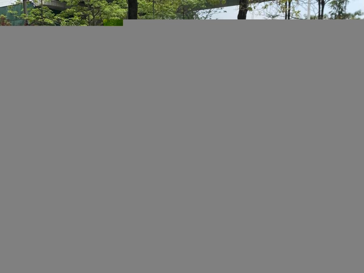 本田 繽智  2022款 1.5L CVT精英智享版圖片
