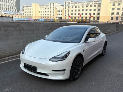 2019年9月 特斯拉 Model 3 長續(xù)航后驅(qū)版圖片