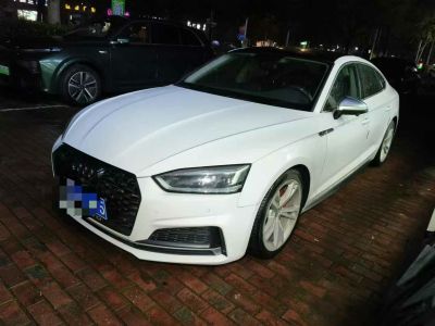 2019年1月 奧迪 奧迪A5(進(jìn)口) Cabriolet 40 TFSI 時(shí)尚型圖片