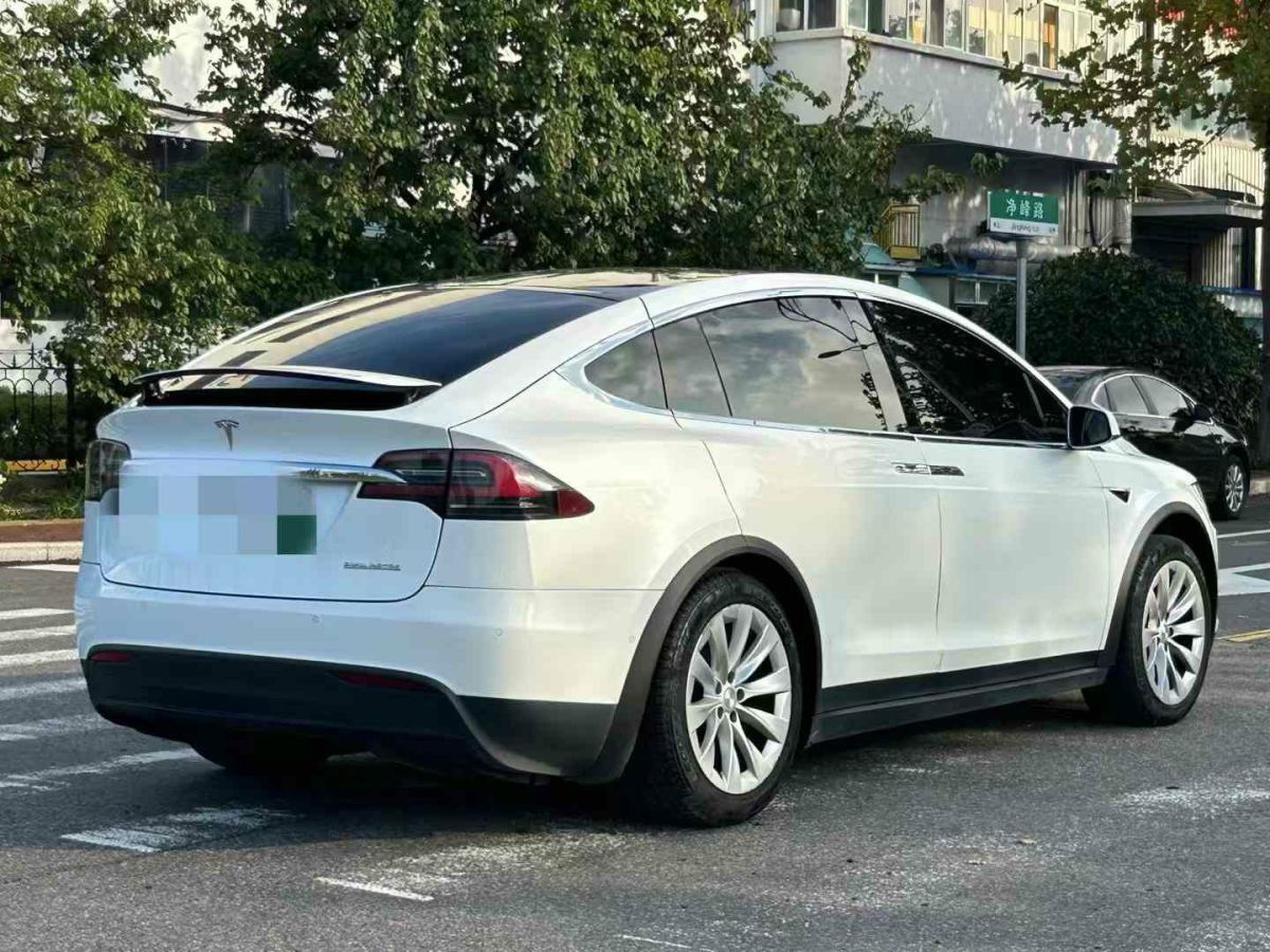 2019年1月特斯拉 Model X  2019款 Performance 高性能版