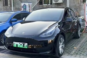 Model Y 特斯拉 后轮驱动版