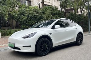 Model 3 特斯拉 改款 Performance高性能全輪驅(qū)動版