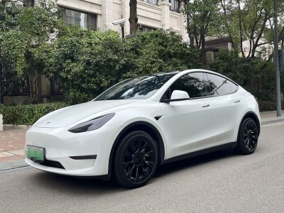 2021年3月 特斯拉 Model 3 改款 Performance高性能全輪驅(qū)動版圖片