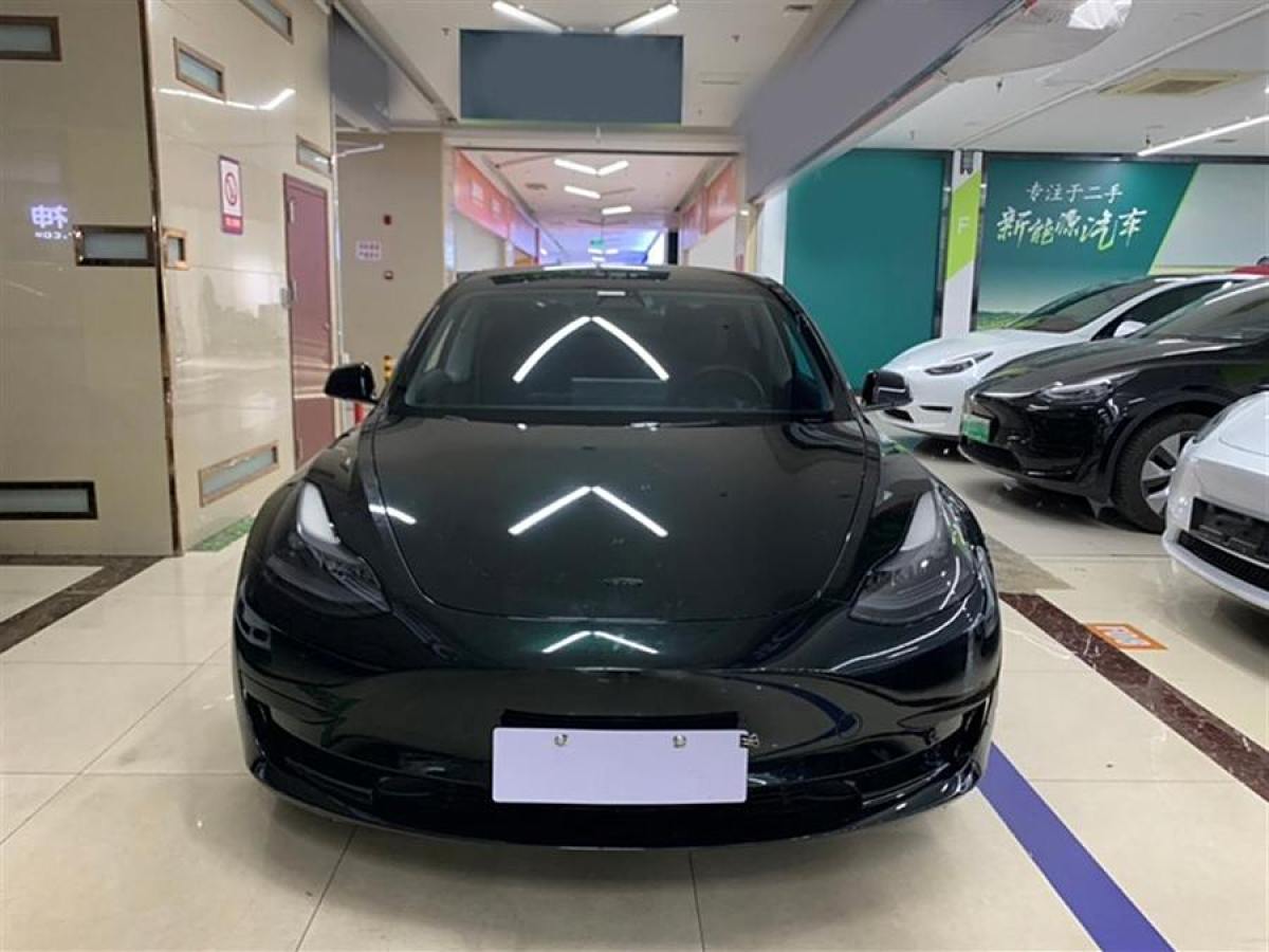 特斯拉 Model 3  2021款 改款 標(biāo)準(zhǔn)續(xù)航后驅(qū)升級版圖片