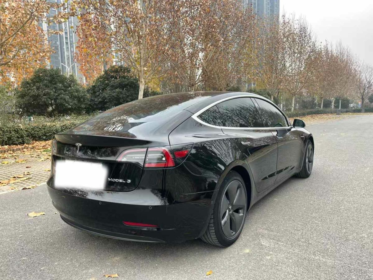 特斯拉 Model X  2020款 Performance 高性能版圖片