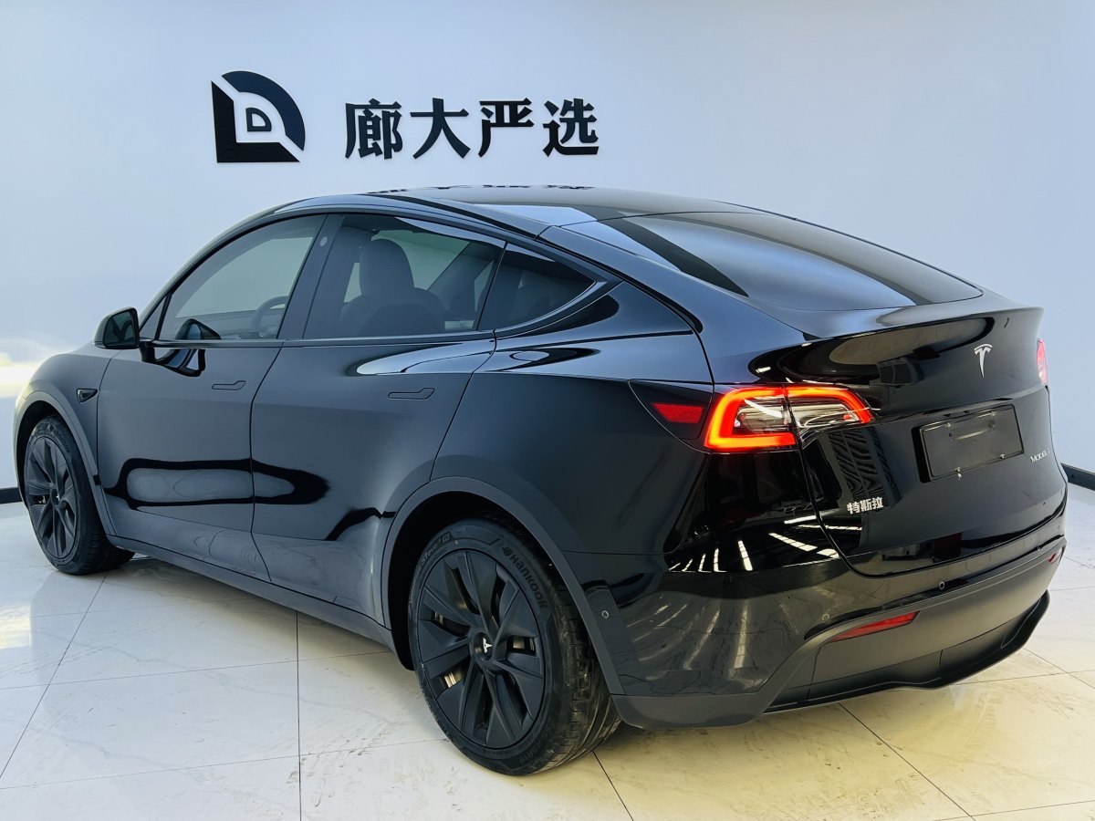 特斯拉 Model Y  2021款 改款 標準續(xù)航后驅(qū)升級版圖片