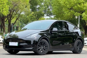 Model Y 特斯拉 改款 后輪驅(qū)動版