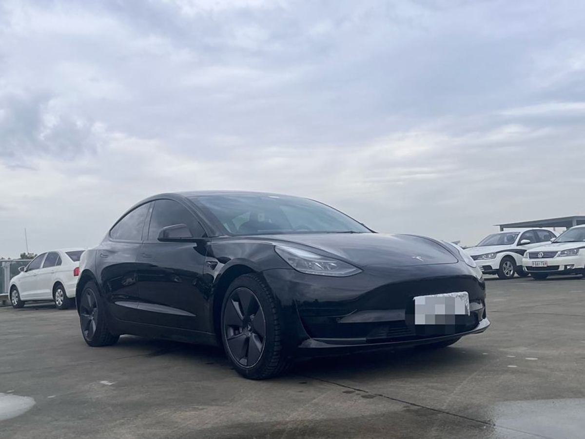 特斯拉 Model 3  2021款 改款 標(biāo)準(zhǔn)續(xù)航后驅(qū)升級(jí)版圖片