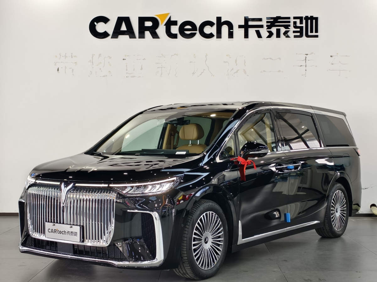 嵐圖 夢想家  2024款 PHEV 超長續(xù)航尊貴版圖片