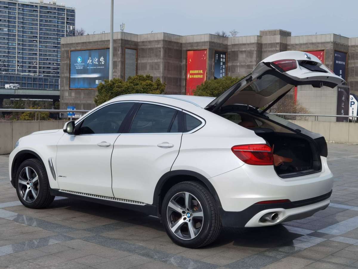 寶馬 寶馬X6  2015款 xDrive35i 豪華型圖片