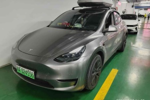 Model Y 特斯拉 后轮驱动版